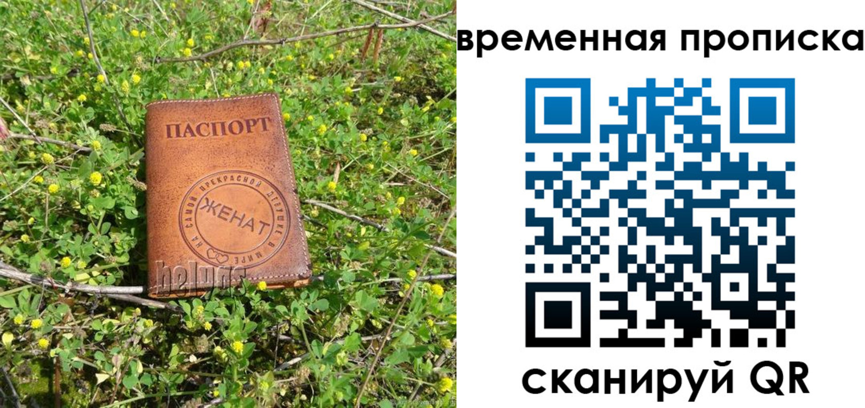 форма 3 в Омской области
